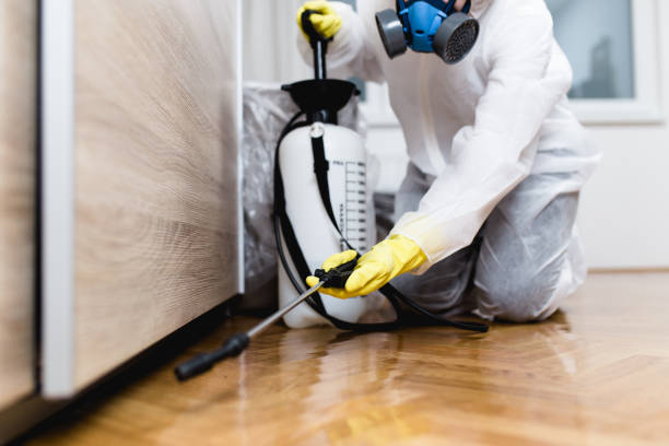 Best Mosquito Control Services  in Glenarden, MD