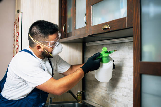 Reliable Glenarden, MD Pest Control Solutions