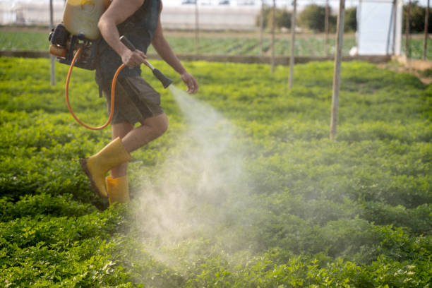 Pest Control for Restaurants in Glenarden, MD