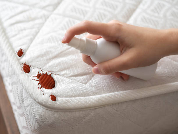 Best Best Pest Control Companies  in Glenarden, MD