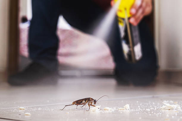Best Affordable Pest Control Services  in Glenarden, MD