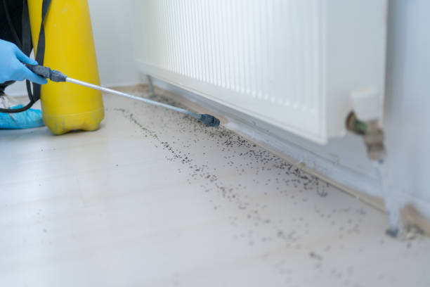 Best Pest Prevention Services  in Glenarden, MD