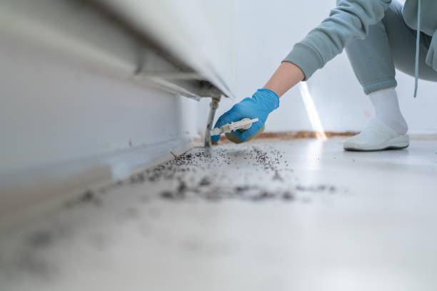 Best Pest Removal Services  in Glenarden, MD